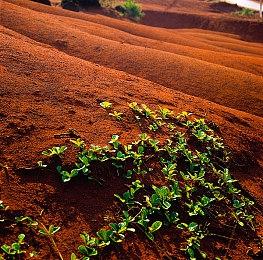 在线人数仅有个位数 《一拳超人：无名英雄》多人服务器将在明年2月关闭