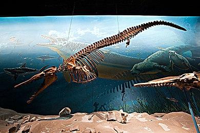 《英雄传说 零（碧）之轨迹：改》繁中及韩文版发售日期敲定